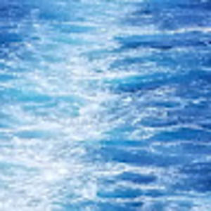 Meet your Posher, Mrs